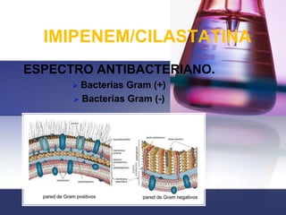 IMIPENEM/CILASTATINA
ESPECTRO ANTIBACTERIANO.
       Bacterias Gram (+)
       Bacterias Gram (-)
 
