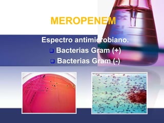 MEROPENEM
Espectro antimicrobiano.
   Bacterias Gram (+)
   Bacterias Gram (-)
 