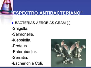 “ESPECTRO ANTIBACTERIANO”

   BACTERIAS AEROBIAS GRAM (-)
-Shigella.
-Salmonella.
-Klebsiella.
-Proteus.
-Enterobacter.
-Serratia.
-Escherichia Coli.
 
