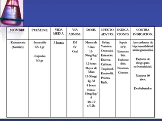 NOMBRE       PRESENT.       VIDA       VIA      DOSIS.     EFECTO        INDICA       CONTRA
                           MEDIA.    ADMINI.               ADVERS.       CIONES     INDICACION.

Kanamicina   -Inyectable   3 horas     IM      Menor de    Fiebre.        Sepcis    Antecedentes de
(Kantrex)      0.5-1 gr                IV        7 días:   Vomitos.        IVU      hipersencibilidad
                                       Oral        15-     Ototoxici.    Enteroco   aminoglucòsidos
              -Capsulas                        30mg/kg/    Esteatorr.      litis.
                0.5 gr                              d      Diarrea.      Endocar     Factores de
                                                12 horas   Cefaleas.       ditis.     riesgo para
                                               Mayor de                  Neumon.    nefrotoxicidad.
                                                           Taquicard.
                                                  7dias:   Eosinofili.   Gonorr.
                                               15-30mg/                               Mayores 60
                                                           Prurito.                     años.
                                                  kg /d    Rash.
                                                 8 horas
                                                 Niños:                              Deshidratados
                                               15mg/kg/
                                                    d
                                                  IM-IV
                                                 c/12h.
 