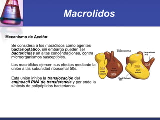Macrolidos

Mecanismo de Acción:

  Se considera a los macrólidos como agentes
  bacteriostático, sin embargo pueden ser
  bactericidas en altas concentraciones, contra
  microorganismos susceptibles.
  Los macrólidos ejercen sus efectos mediante la
  unión a las subunidad ribosomal 50s.

  Esta unión inhibe la translocación del
  aminoacil RNA de transferencia y por ende la
  síntesis de polipéptidos bacterianos.
 
