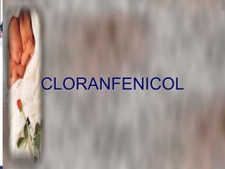 CLORANFENICOL
 