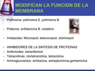 MODIFICAN LA FUNCION DE LA
          MEMBRANA
•   Polimixina: polimixina E ,polimixina B

•   Polienos: anfotericina B ,nistatina

•   Imidazoles: Miconazol, ketoconazol, clotrimazol

•   INHIBIDORES DE LA SINTESIS DE PROTEINAS
•   Anfenicoles: cloranfenicol
•   Tetraciclinas: clortetraciclina, tetraciclina
•   Aminoglucosidos: amikacina, estreptomicina,gentamicina
 