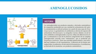 AMINOGLUCOSIDOS
 Estreptomicina
 Neomicina
 Gentamicina
 Tobramicina
 Amikacina
 