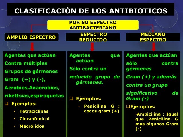Betalactamicos