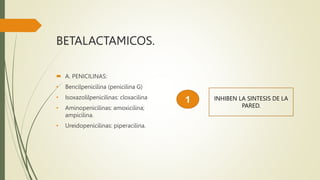 BETALACTAMICOS.
 A. PENICILINAS:
• Bencilpenicilina (penicilina G)
• Isoxazolilpenicilinas: cloxacilina
• Aminopenicilinas: amoxicilina;
ampicilina.
• Ureidopenicilinas: piperacilina.
1 INHIBEN LA SINTESIS DE LA
PARED.
 