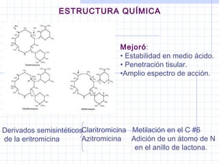 ESTRUCTURA QUÍMICA
Derivados semisintéticos
de la eritromicina
Claritromicina Metilación en el C #6
Azitromicina Adición de un átomo de N
en el anillo de lactona.
Mejoró:
• Estabilidad en medio ácido.
• Penetración tisular.
•Amplio espectro de acción.
 