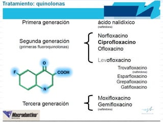 Mecanismo de acción
Nitrofurantoína
 