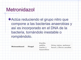 Metronidazol
Actúa reduciendo el grupo nitro que
compone a las bacterias anaerobias y
así es incorporado en el DNA de la
bacteria, tornándolo inestable o
rompiéndolo.
Metronidazol Flagyl
Giardia
amblia,
Amiba y
Anaerobios
Orina rojiza, malestar
bucal y efecto antabús
 
