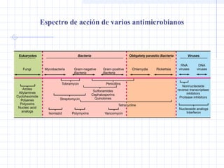 Espectro de acción de varios antimicrobianos
 