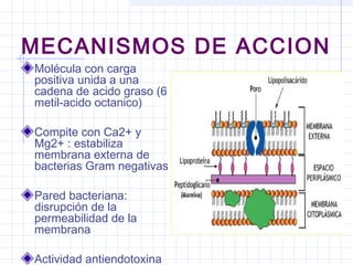 MECANISMOS DE ACCION
Molécula con carga
positiva unida a una
cadena de acido graso (6
metil-acido octanico)
Compite con Ca2+ y
Mg2+ : estabiliza
membrana externa de
bacterias Gram negativas
Pared bacteriana:
disrupción de la
permeabilidad de la
membrana
Actividad antiendotoxina
 