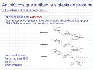 Aminoglicósidos: Estructura
Son azúcares complejos unidos por enlaces glicosídicos. Los grupos
NH y OH interactúan con proteínas del ribosoma.
Que actúan sobre subunidad 30S...
La estreptomicina
fue aislada en 1940
de un
Streptomyces.
Antibióticos que inhiben la síntesis de proteínas
 