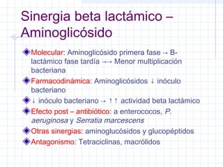 Sinergia beta lactámico –
Aminoglicósido
Molecular: Aminoglicósido primera fase → B-
lactámico fase tardía →→ Menor multiplicación
bacteriana
Farmacodinámica: Aminoglicósidos ↓ inóculo
bacteriano
↓ inóculo bacteriano → ↑↑ actividad beta lactámico
Efecto post – antibiótico: a enterococos, P.
aeruginosa y Serratia marcescens
Otras sinergias: aminoglucósidos y glucopéptidos
Antagonismo: Tetraciclinas, macrólidos
 