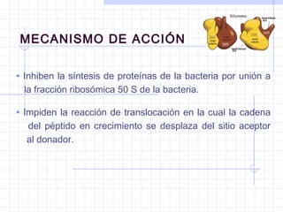 MECANISMO DE ACCIÓN
• Inhiben la síntesis de proteínas de la bacteria por unión a
la fracción ribosómica 50 S de la bacteria.
• Impiden la reacción de translocación en la cual la cadena
del péptido en crecimiento se desplaza del sitio aceptor
al donador.
 