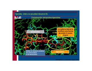 Antibioticoterapia y resistencia microbiana