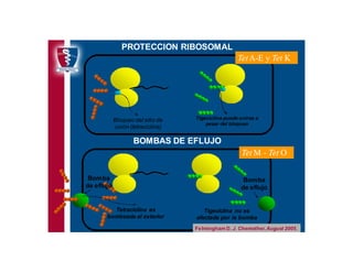 Antibioticoterapia y resistencia microbiana