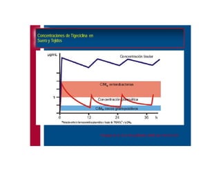 Antibioticoterapia y resistencia microbiana