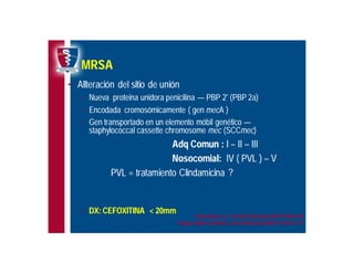 Antibioticoterapia y resistencia microbiana