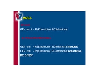 Antibioticoterapia y resistencia microbiana