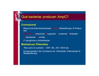 Antibioticoterapia y resistencia microbiana