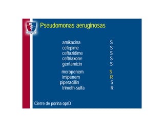 Antibioticoterapia y resistencia microbiana