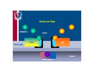 Antibioticoterapia y resistencia microbiana