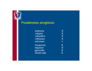 Antibioticoterapia y resistencia microbiana