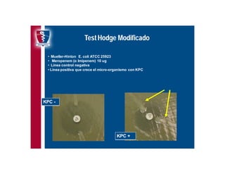 Antibioticoterapia y resistencia microbiana