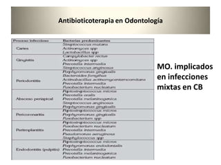 Antibioticoterapia en Odontología
MO. implicados
en infecciones
mixtas en CB
 