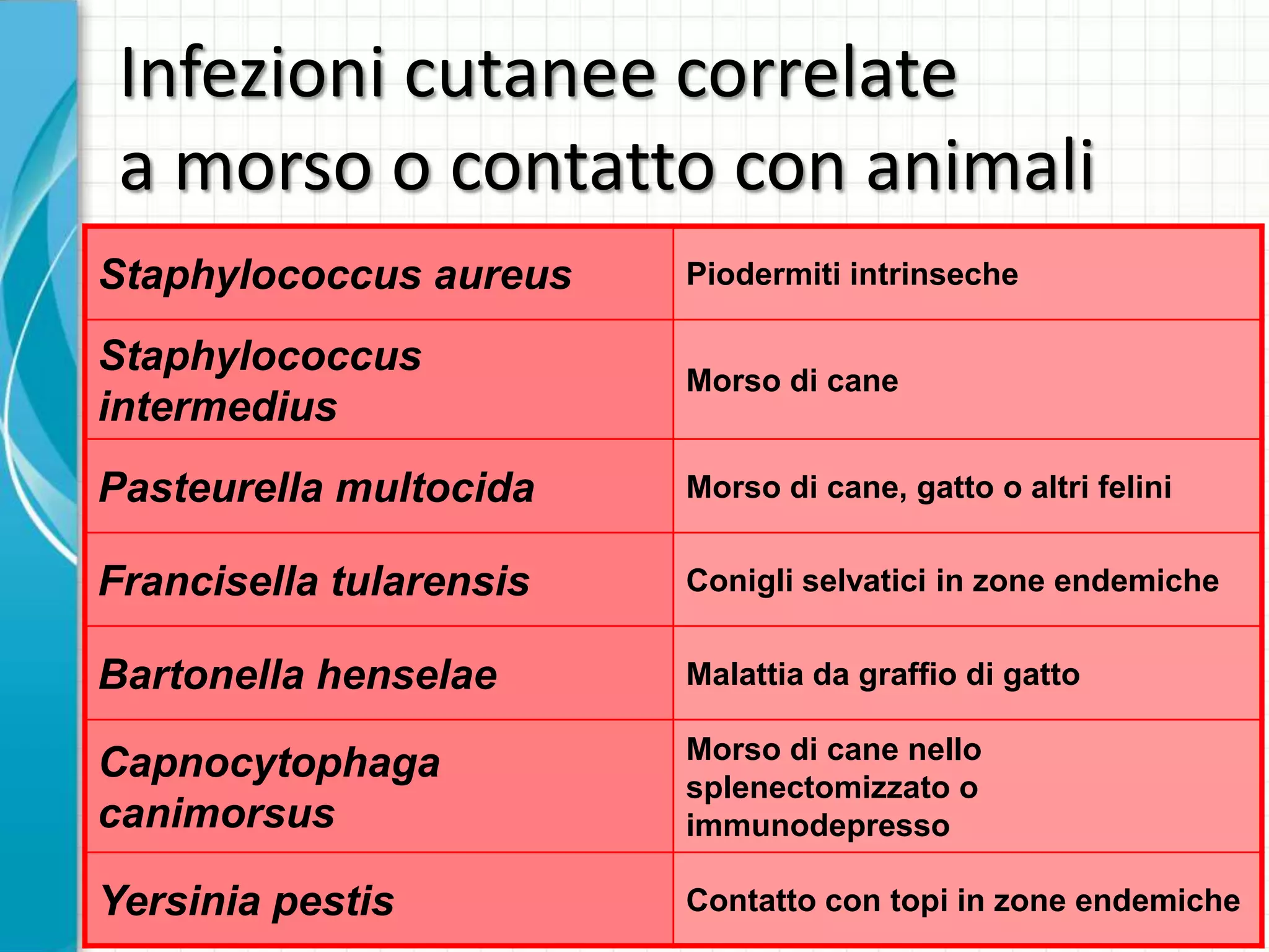 Antibioticoterapia nelle complicanze infettive del linfedema | PPTX, image size:2048x1536
