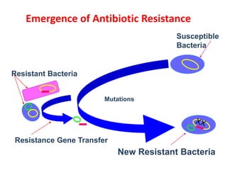 New Resistant Bacteria
Emergence of Antibiotic Resistance
Susceptible
Bacteria
Resistant Bacteria
Resistance Gene Transfer
 