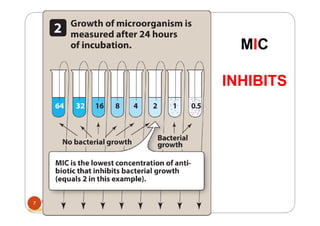 Mic50 Antibiotic principles | PDF
