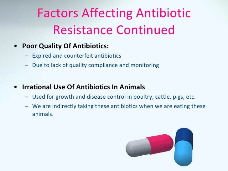 Thesis in penicillin