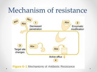Mechanism of resistance
 