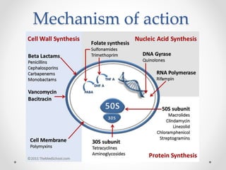 Mechanism of action
 