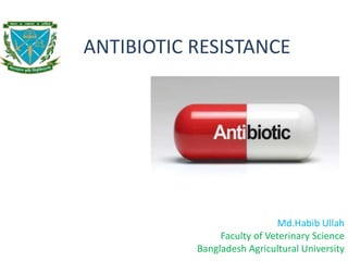 ANTIBIOTIC RESISTANCE
Md.Habib Ullah
Faculty of Veterinary Science
Bangladesh Agricultural University
 