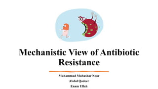 Mechanistic View of Antibiotic
Resistance
Muhammad Mubashar Noor
Abdul Qadeer
Enam Ullah
 
