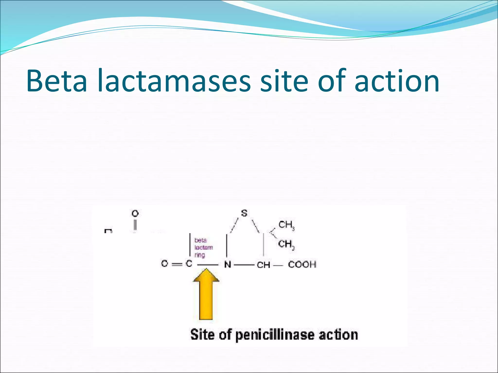 Antibiotic resistance ppt