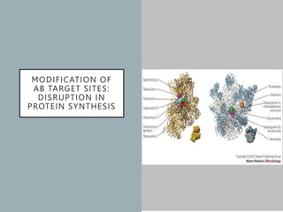 ANTIBIOTIC RESISTANCE.ppt