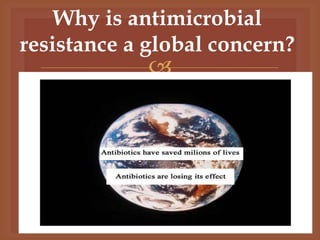 Why is antimicrobial
resistance a global concern?
             
 