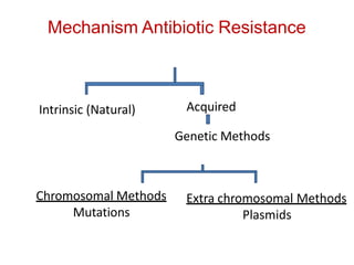 Mechanism Antibiotic Resistance
Intrinsic (Natural) Acquired
Genetic Methods
Chromosomal Methods
Mutations
Extra chromosomal Methods
Plasmids
 