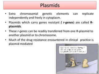 Plasmids
• Extra chromosomal genetic elements can replicate
independently and freely in cytoplasm.
• Plasmids which carry genes resistant ( r-genes) are called R-
plasmids.
• These r-genes can be readily transferred from one R-plasmid to
another plasmid or to chromosome.
• Much of the drug resistance encountered in clinical practice is
plasmid mediated
 