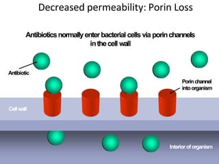Decreased permeability: Porin Loss
Interioroforganism
Cellwall
Porinchannel
intoorganism
Antibiotic
Antibioticsnormallyenterbacterial cells via porinchannels
inthecell wall
 