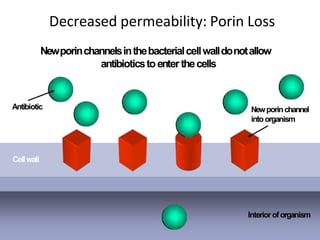 Decreased permeability: Porin Loss
Interioroforganism
Cellwall
Newporinchannel
intoorganism
Antibiotic
Newporinchannelsinthebacterialcellwalldonotallow
antibioticstoenter thecells
 