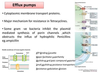 ATP Binding Cassette
Major facilitator superfamily
Multidrug and toxic compound exporter
Small multidrug resistance transporters
Resistance-nodulation-division
Efflux pumps
• Cytoplasmic membrane transport proteins.
• Major mechanism for resistance in Tetracyclines.
• Some gram -ve bacteria inhibit the plasmid
mediated synthesis
obstructs the influx
of porin channels ,which
of hydrophilic Penicillins
eg.ampicillin
 