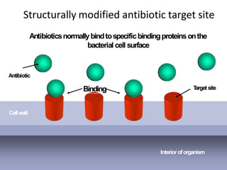 Structurally modified antibiotic target site
Interioroforganism
Cellwall
T
arget site
Binding
Antibiotic
Antibioticsnormallybindtospecificbindingproteinsonthe
bacterial cell surface
 