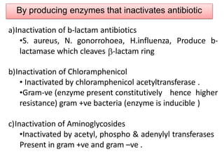 By producing enzymes that inactivates antibiotic
a)Inactivation of b-lactam antibiotics
•S. aureus, N. gonorrohoea, H.influenza, Produce b-
lactamase which cleaves -lactam ring
b)Inactivation of Chloramphenicol
• Inactivated by chloramphenicol acetyltransferase .
•Gram-ve (enzyme present constitutively hence higher
resistance) gram +ve bacteria (enzyme is inducible )
c)Inactivation of Aminoglycosides
•Inactivated by acetyl, phospho & adenylyl transferases
Present in gram +ve and gram –ve .
 