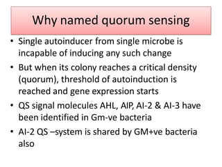 Why named quorum sensing
• Single autoinducer from single microbe is
incapable of inducing any such change
• But when its colony reaches a critical density
(quorum), threshold of autoinduction is
reached and gene expression starts
• QS signal molecules AHL, AIP, AI-2 & AI-3 have
been identified in Gm-ve bacteria
• AI-2 QS –system is shared by GM+ve bacteria
also
 