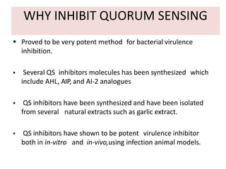 WHY INHIBIT QUORUM SENSING
 Proved to be very potent method for bacterial virulence
inhibition.
 Several QS inhibitors molecules has been synthesized which
include AHL, AIP, and AI-2 analogues
 QS inhibitors have been synthesized and have been isolated
from several natural extracts such as garlic extract.
 QS inhibitors have shown to be potent virulence inhibitor
both in in-vitro and in-vivo,using infection animal models.
 