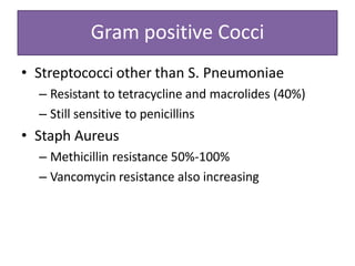 Gram positive Cocci
• Streptococci other than S. Pneumoniae
– Resistant to tetracycline and macrolides (40%)
– Still sensitive to penicillins
• Staph Aureus
– Methicillin resistance 50%-100%
– Vancomycin resistance also increasing
 
